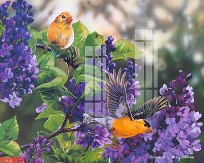 Tải file gốc Tranh sơn dầu phương tây tổng hợp STS2615 (in không vỡ ảnh)