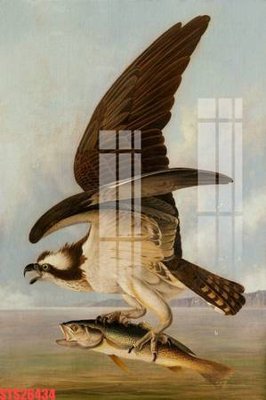 Tải file Tranh sơn dầu phương tây tổng hợp STS26434 (gốc) làm file tranh quảng cáo