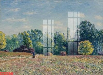 Tải file gốc Tranh sơn dầu phương tây tổng hợp STS27941 (in khổ lớn) quảng cáo