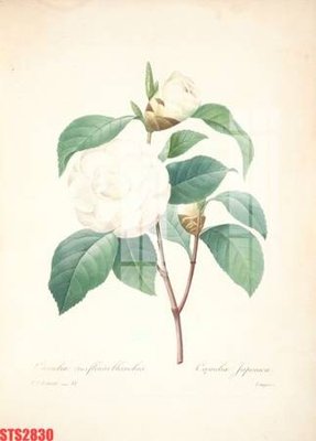 Hình ảnh file gốc in trần nhà Tranh sơn dầu phương tây tổng hợp STS2830