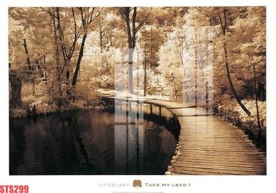 File gốc Tranh sơn dầu phương tây tổng hợp STS299 (in tráng gương) hiện đại