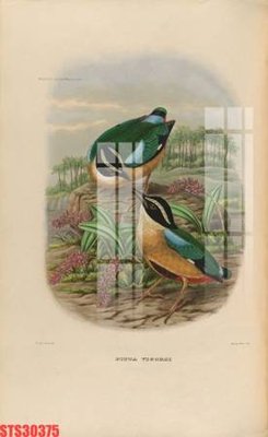 File tranh gốc in trần nhà Tranh sơn dầu phương tây tổng hợp STS30375 3D