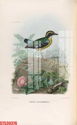 Tải file gốc Tranh sơn dầu phương tây tổng hợp STS30376 (in tráng gương) cao cấpFile gốc Tranh sơn dầu phương tây tổng hợp STS30376 (in ấn) phiên bản độc quyền