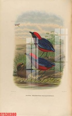 File PSD Tranh sơn dầu phương tây tổng hợp STS30380 (nguyên bản) cho thiết kế