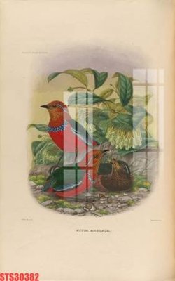 File tranh Tranh sơn dầu phương tây tổng hợp STS30382 (ảnh gốc) độc quyền