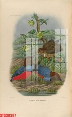 File ảnh Tranh sơn dầu phương tây tổng hợp STS30387 (gốc) in biển hiệu