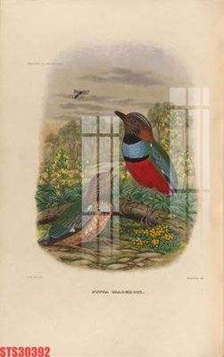 Download file gốc Tranh sơn dầu phương tây tổng hợp STS30392 (in lụa) cao cấp