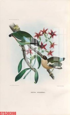 File tranh Tranh sơn dầu phương tây tổng hợp STS30398 (ảnh gốc) in trần nhà