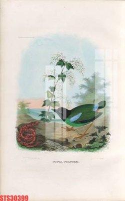 Tải file gốc Tranh sơn dầu phương tây tổng hợp STS30399 (in không vỡ ảnh)