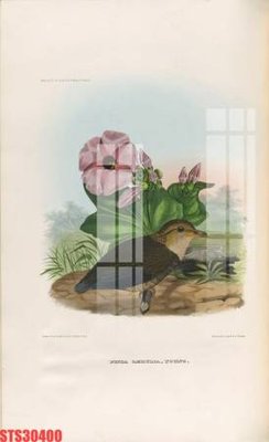 Tải về hình ảnh gốc Tranh sơn dầu phương tây tổng hợp STS30400 sắc nét