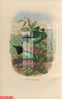 Download file tranh Tranh sơn dầu phương tây tổng hợp STS30401 (file gốc PSD)