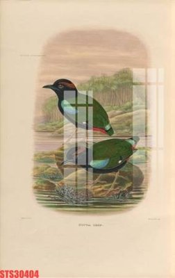 File tranh gốc Tranh sơn dầu phương tây tổng hợp STS30404 (bản quyền) Filetranh.com