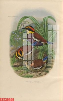 File tranh quảng cáo Tranh sơn dầu phương tây tổng hợp STS30406 (download file gốc)