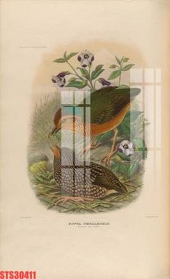 Tải file Tranh sơn dầu phương tây tổng hợp STS30411 (gốc) chủ đề tâm linh