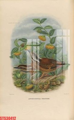 File tranh Tranh sơn dầu phương tây tổng hợp STS30412 (ảnh gốc) chi tiết rõ ràng