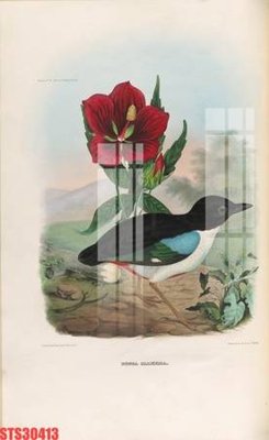 Tải file gốc Tranh sơn dầu phương tây tổng hợp STS30413 (in khổ lớn) quảng cáo