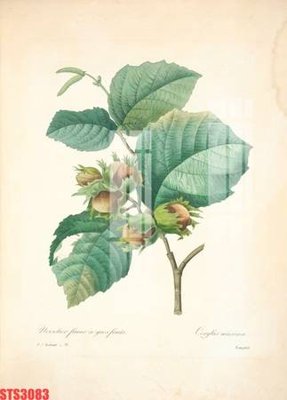 Tệp tin gốc Tranh sơn dầu phương tây tổng hợp STS3083 (dùng cho in) Tranh sơn dầu phương tây tổng hợp STS3083