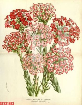 File gốc Tranh sơn dầu phương tây tổng hợp STS31283 (in tráng gương) hiện đại