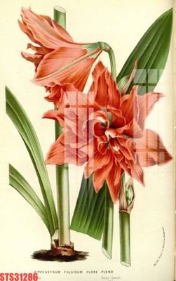 File gốc in ấn Tranh sơn dầu phương tây tổng hợp STS31286 chuẩn màu CMYK