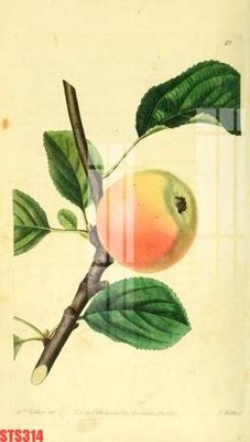 File ảnh Tranh sơn dầu phương tây tổng hợp STS314 (gốc) in quảng cáo ngoài trời