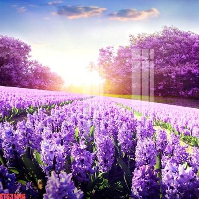 Chi tiết file gốc Tranh sơn dầu phương tây tổng hợp STS31416 (cho in tráng gương)