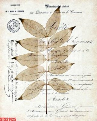 File ảnh Tranh sơn dầu phương tây tổng hợp STS31425 (gốc) in Hiflex