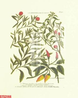 File gốc Tranh sơn dầu phương tây tổng hợp STS3144 (in lụa) cao cấp