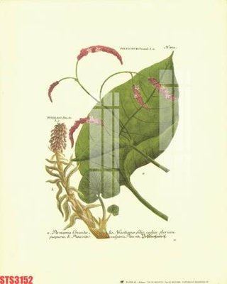 Download file Tranh sơn dầu phương tây tổng hợp STS3152 (gốc) in mica bàn thờ