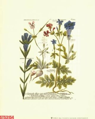 File tranh Tranh sơn dầu phương tây tổng hợp STS3154 (gốc) in backlit film