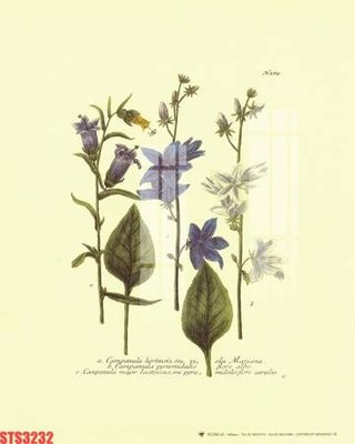 File gốc Tranh sơn dầu phương tây tổng hợp STS3232 (cho in ấn) độc quyền