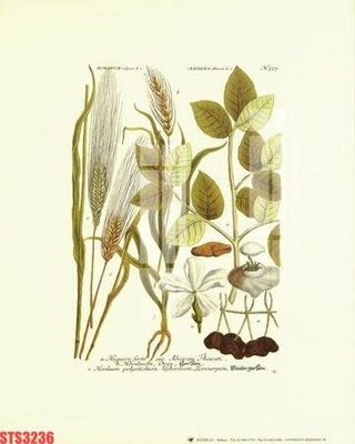 File PSD Tranh sơn dầu phương tây tổng hợp STS3236 (bản gốc) cho nhà in