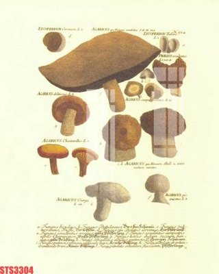 File tranh Tranh sơn dầu phương tây tổng hợp STS3304 (ảnh gốc) chi tiết rõ ràng