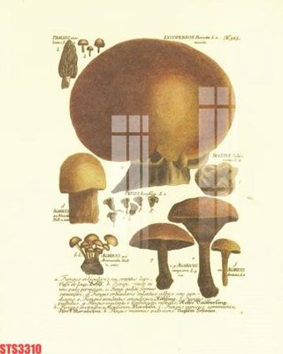 Tải file Tranh sơn dầu phương tây tổng hợp STS3310 (gốc) in ấn ngay lập tức