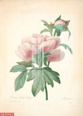 Chi tiết file ảnh Tranh sơn dầu phương tây tổng hợp STS3335 sắc nét