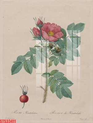 File PSD Tranh sơn dầu phương tây tổng hợp STS33411 (nguyên gốc) chất lượng cao