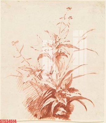 File tranh gốc Tranh sơn dầu phương tây tổng hợp STS34514 (sắc nét từng chi tiết)