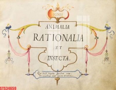 File tranh Tranh sơn dầu phương tây tổng hợp STS34659 (gốc) chủ đề trừu tượng