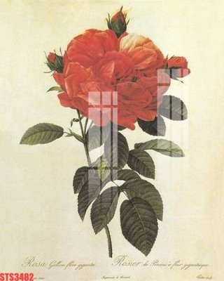 File gốc Tranh sơn dầu phương tây tổng hợp STS3482 (chủ đề hiện đại) trang trí