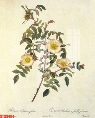 Tải file Tranh sơn dầu phương tây tổng hợp STS3484 (gốc) chủ đề tâm linh