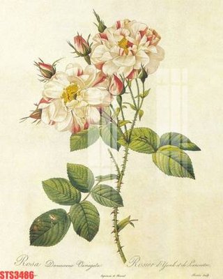 File ảnh Tranh sơn dầu phương tây tổng hợp STS3486 (gốc) cho trang trí nội thất