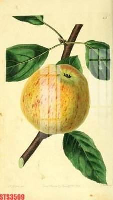 File tranh gốc PSD Tranh sơn dầu phương tây tổng hợp STS3509 còn nguyên layer