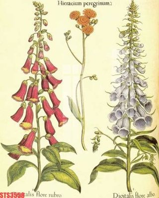 File tranh gốc Tranh sơn dầu phương tây tổng hợp STS3558 (bản quyền) độc đáo