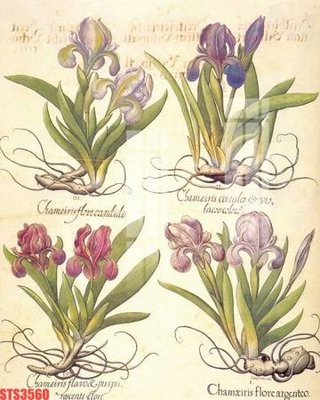 File ảnh Tranh sơn dầu phương tây tổng hợp STS3560 (gốc) in standee