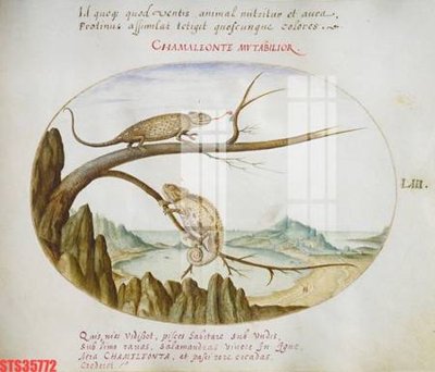 File tranh Tranh sơn dầu phương tây tổng hợp STS35772 (file gốc) chủ đề phong thủy