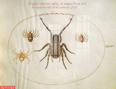 File PSD Tranh sơn dầu phương tây tổng hợp STS35773 (bản gốc) đã tách nền