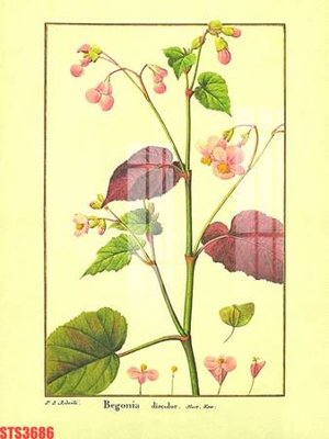 File gốc Tranh sơn dầu phương tây tổng hợp STS3686 (ảnh chi tiết) để in ấn