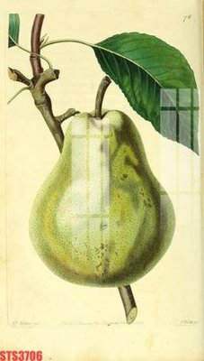 File tranh gốc PSD Tranh sơn dầu phương tây tổng hợp STS3706 còn nguyên layer