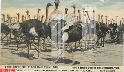 File in trần Tranh sơn dầu phương tây tổng hợp STS37141 (bản gốc) đại dương