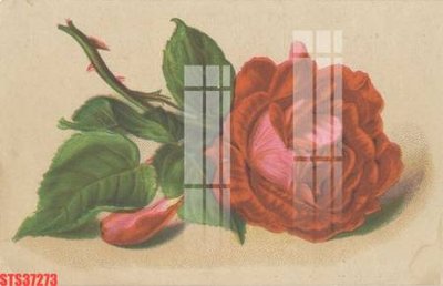 File gốc Tranh sơn dầu phương tây tổng hợp STS37273 (PSD/TIFF) độ phân giải cao