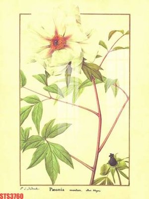 Download file gốc Tranh sơn dầu phương tây tổng hợp STS3760 (độ nét cao)